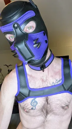 OnlyFans cuenta pup.pixel avatar 1