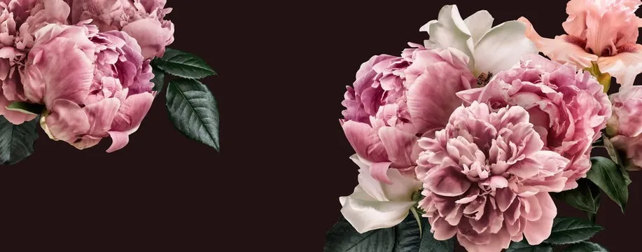 OnlyFans account  hellokristen header 2