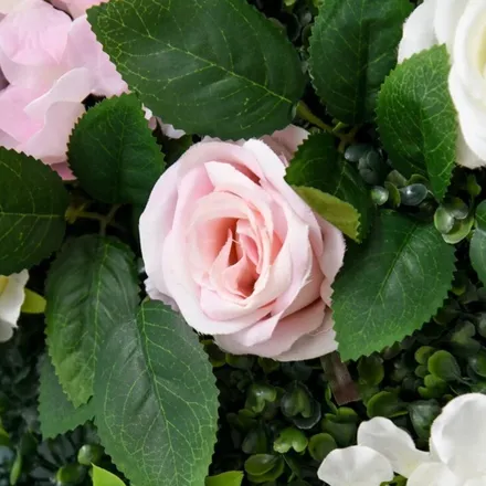 OnlyFans cuenta missflowerbomb header 2