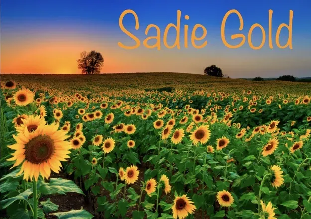 OnlyFans cuenta sadiegold header 2