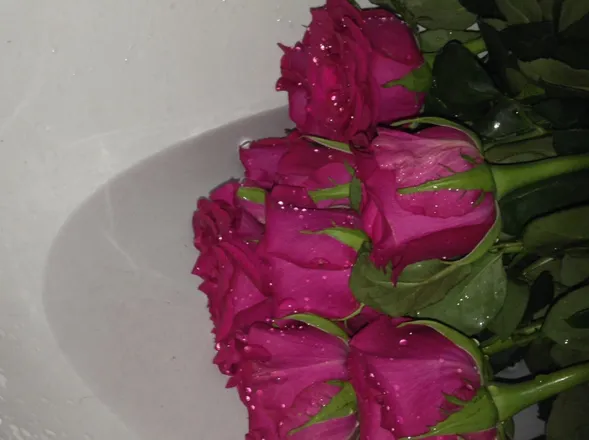 OnlyFans account  welldos header 2