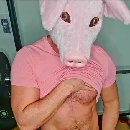 OnlyFans account  piggyjob avatar 1