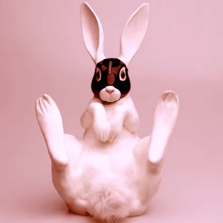 OnlyFans account  littlebunnybunny header 2