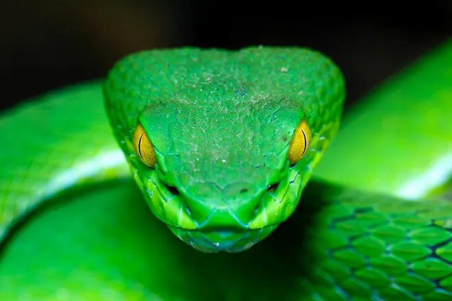 OnlyFans cuenta jake_the_snake99 header 2