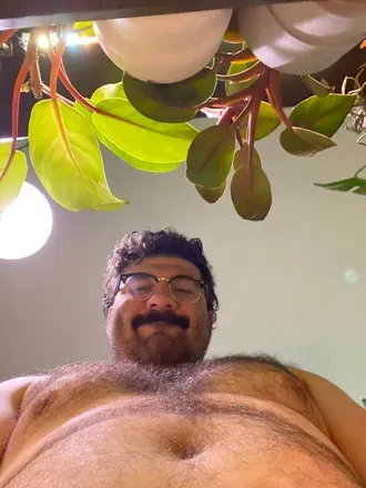 OnlyFans cuenta hogieblue avatar 1