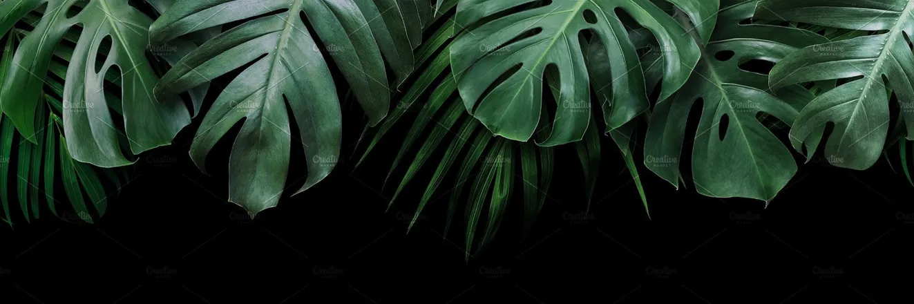 OnlyFans cuenta iamreddea header 2