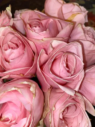 OnlyFans cuenta essence-of-coco header 2