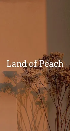 OnlyFans cuenta landofpeach header 2
