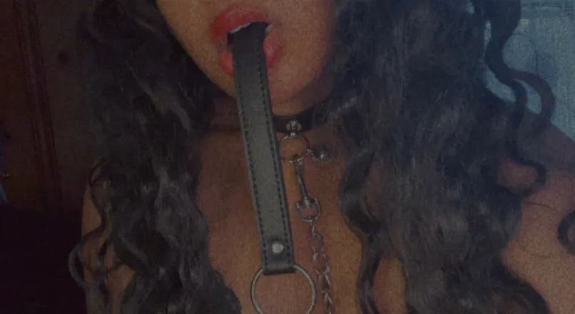 OnlyFans account  babybunnie100 header 2