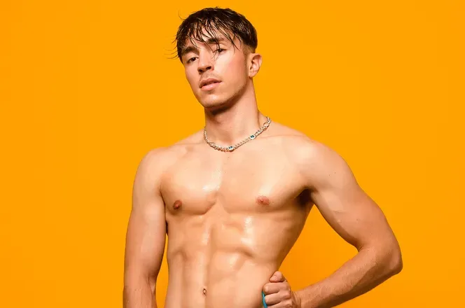 OnlyFans account  the-occitan-prince avatar 1