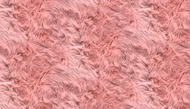 OnlyFans cuenta lollybbunny header 2