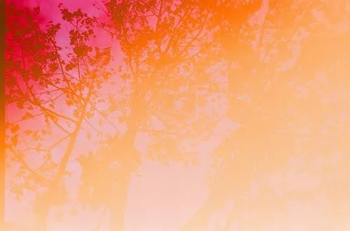 OnlyFans cuenta jackdawson20 header 2