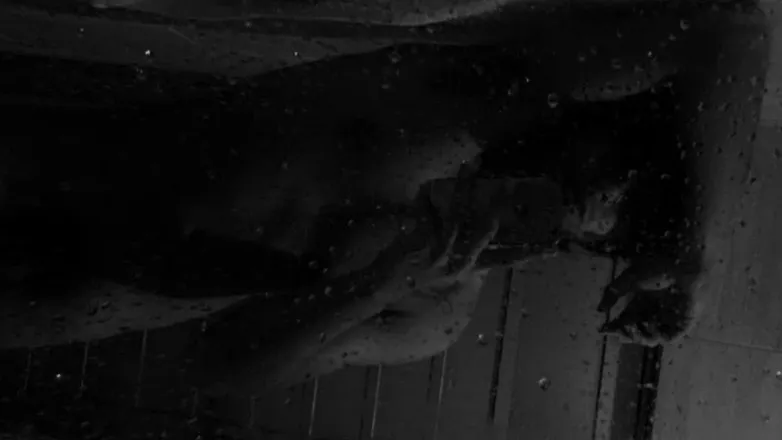 OnlyFans cuenta fer_nandoem header 2