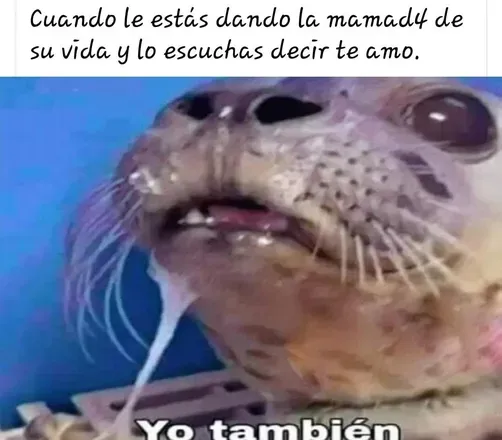 OnlyFans cuenta darmand29 header 2