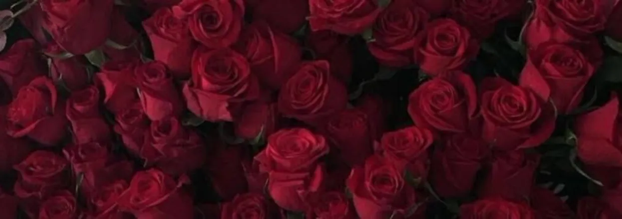 OnlyFans cuenta sipofsilk header 2