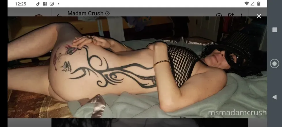 OnlyFans cuenta msmadamcrush avatar 1