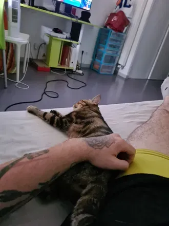 OnlyFans cuenta yoshi94 header 2