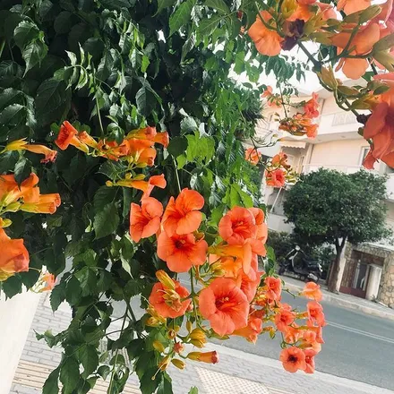 OnlyFans cuenta alicewonder0809 header 2