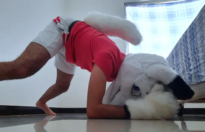 OnlyFans cuenta dobymurwolf header 2