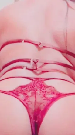 OnlyFans cuenta laisfgrd avatar 1