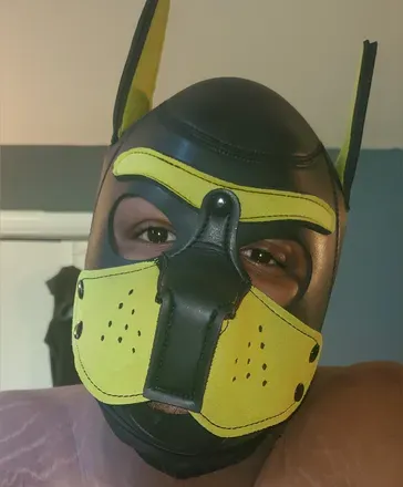 OnlyFans cuenta owlpup_t avatar 1