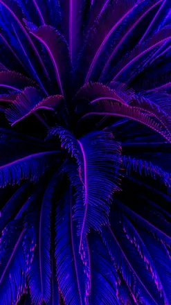 OnlyFans cuenta xirababe header 2
