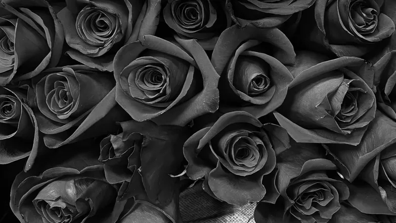 OnlyFans cuenta ghostgurlwrld header 2
