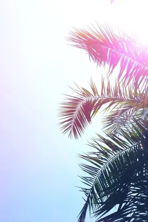 OnlyFans cuenta anna.sophia1996 header 2