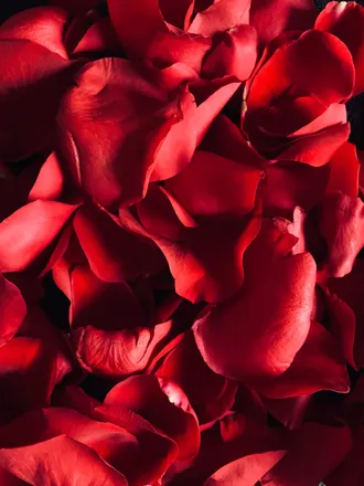 OnlyFans cuenta thejuicyjayyy header 2