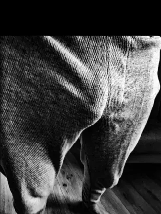 OnlyFans cuenta themodestman header 2