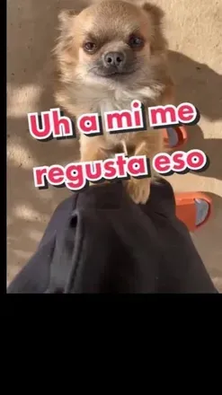 OnlyFans cuenta philiphot26 header 2