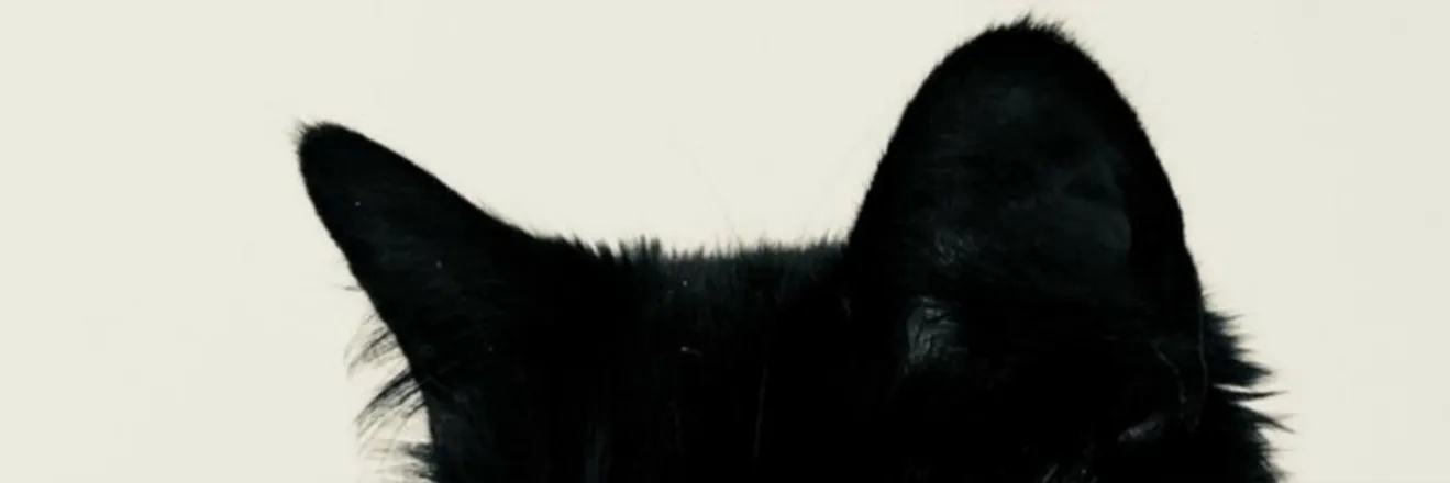 OnlyFans cuenta angeldarlings header 2