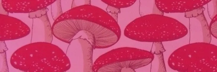 OnlyFans cuenta mushroom.goddess header 2