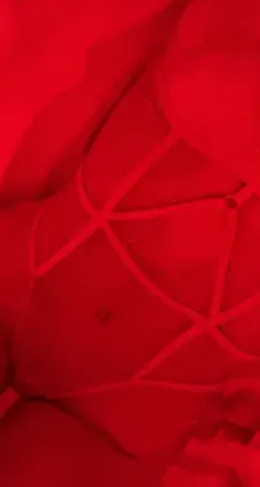 OnlyFans cuenta callmetess avatar 1