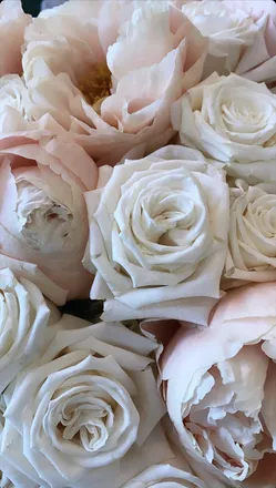 OnlyFans cuenta biancaxway header 2