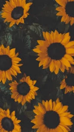 OnlyFans cuenta lore_luna_girl header 2