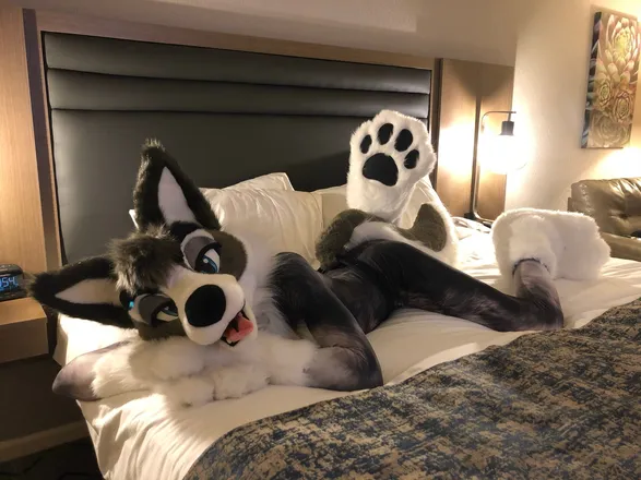 OnlyFans cuenta zoey_wusky header 2