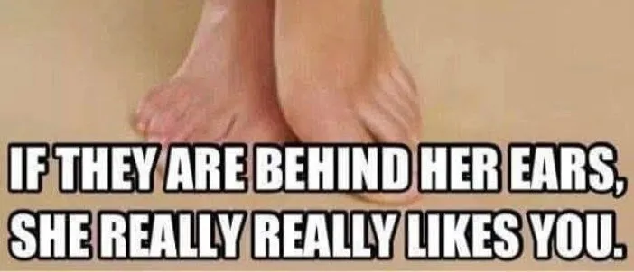 OnlyFans account  feetofhotwife header 2