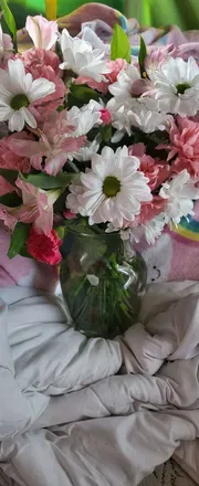 OnlyFans account  cutiears header 2