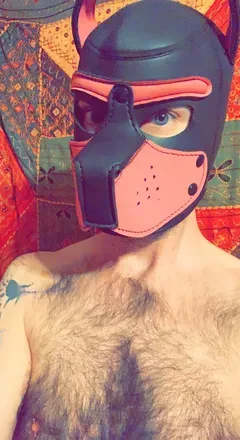 OnlyFans cuenta puppytucker avatar 1