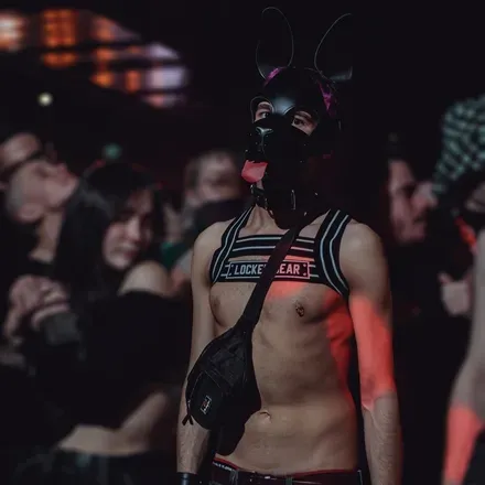 OnlyFans account  pupmalink avatar 1