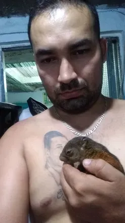 OnlyFans cuenta u69959647 avatar 1