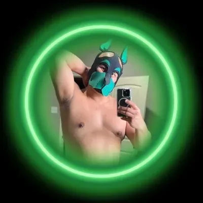 OnlyFans cuenta pup_fornido avatar 1