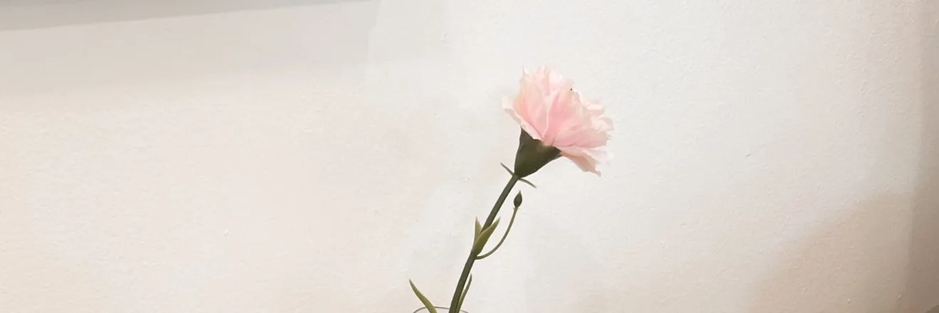OnlyFans account  puftonup header 2