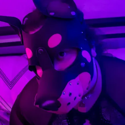 OnlyFans cuenta pupvalkyrie avatar 1