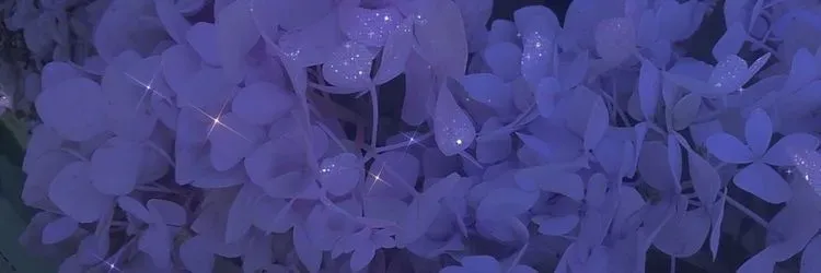 OnlyFans cuenta nofacelaylaa header 2