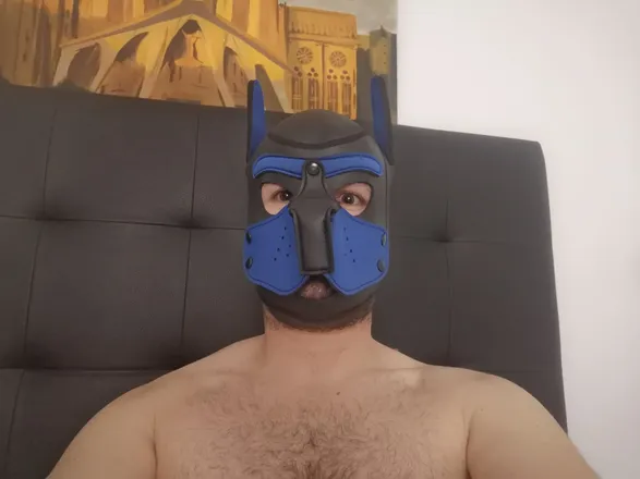 OnlyFans cuenta puppyboth header 2