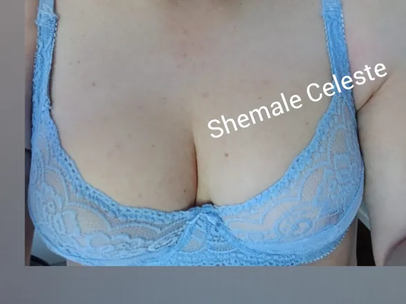 OnlyFans cuenta celeste-shemale header 2