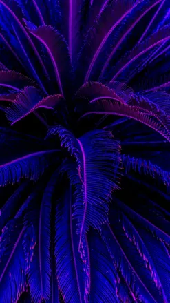 OnlyFans cuenta cereza.26 header 2