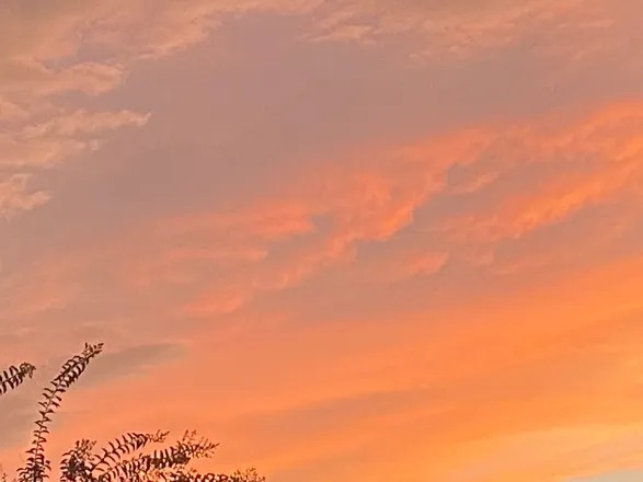 OnlyFans cuenta mixxdreams header 2